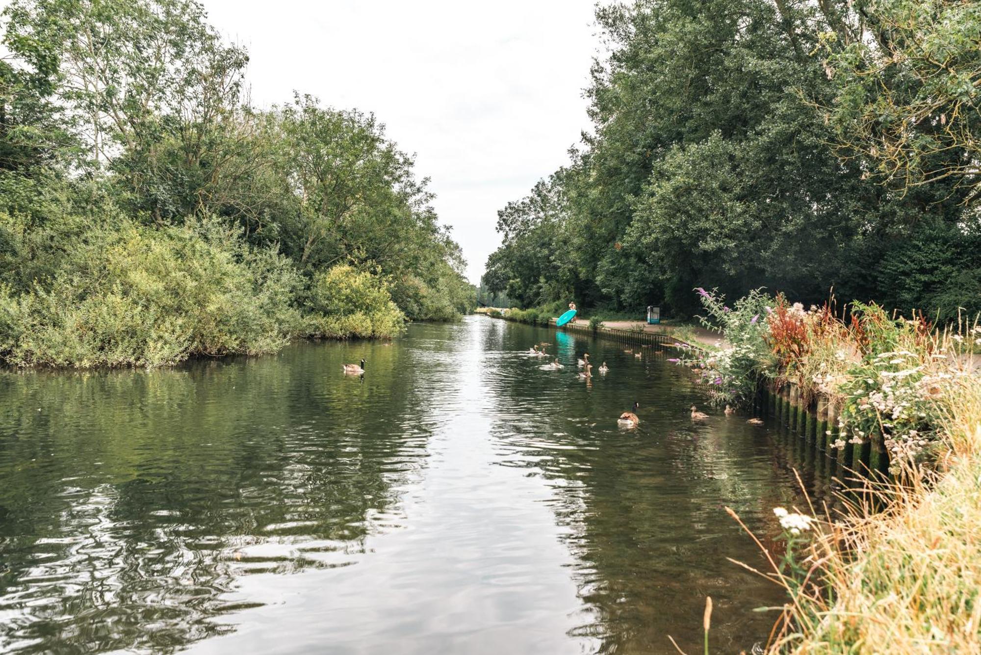 Forest Hills Southampton Eksteriør bilde